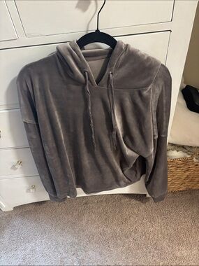 DKNY Plush Velvet Hoodie in Taupe
